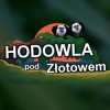 Zdjęcie 13 - Hodowla pod Złotowem